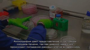 Метастазы в печени: прогноз продолжительности жизни