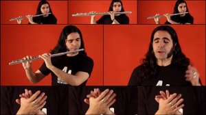 SAIL - Awolnation crazy flute cover!