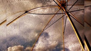 Звук дождя по зонтику.