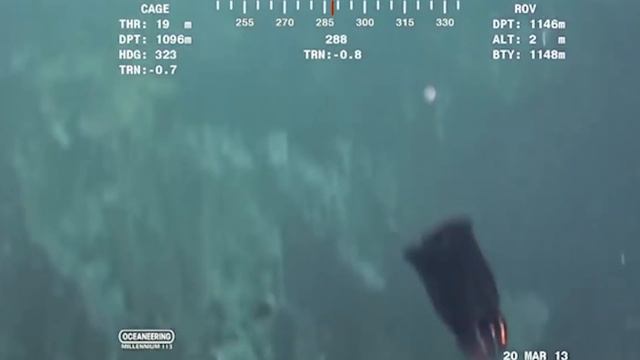ЗАГАДОЧНЫЕ МОРСКИЕ СУЩЕСТВА СНЯТЫЕ НА КАМЕРУ. ТОП 5 тварей найденных ПОД ВОДОЙ.