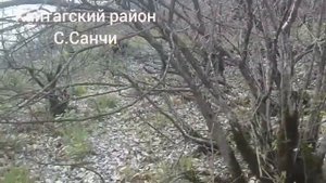 Кайтагский район С.Санчи