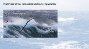 Кристина Хойновская-Лискевич и её "Мазурка" (часть 3)