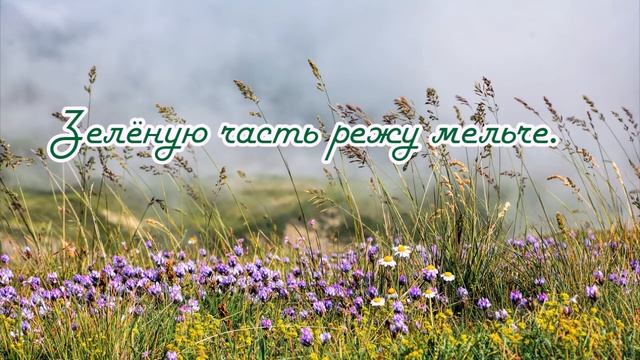 Луковые проблемы. смотреть онлайн