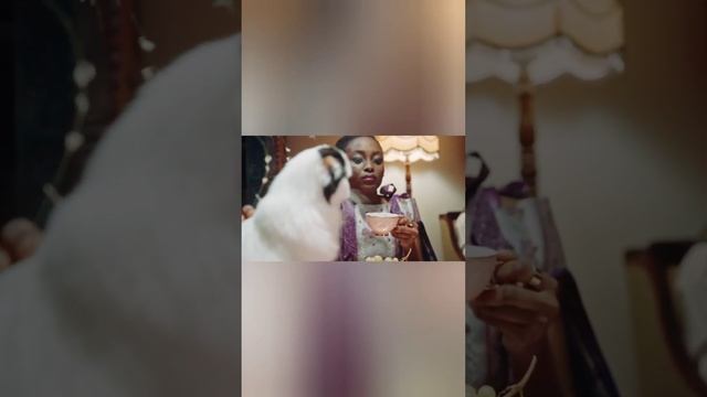 The Incredible World of Cats | 15 Mind-Blowing Facts about cats You Never Knew! | #cat смотреть онлайн