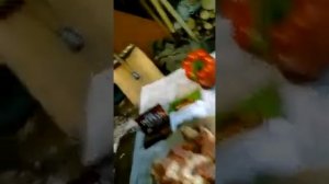 Как приготовить сурка и что для этого нужно. 1-часть.