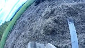 Тест пули Майера как стоппера на раскрытие и пробитие шпалы с 10м.