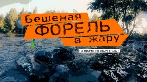 Ловим бешеную форель в жару на приманки IRON TROUT. Часть 2.