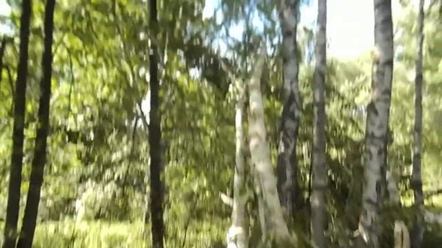 Тополь снят. смотреть онлайн