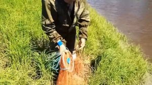 Как забрасывать кастинговую сеть в первый раз