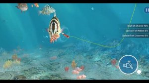 Fishing Strike - Android Gameplay FHD