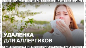 В России могут разрешить переходить на удаленку в период сезонного обострения аллергии - Москва 24