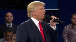 В США прошел второй раунд теледебатов "Клинтон против Трампа", который навестила муха