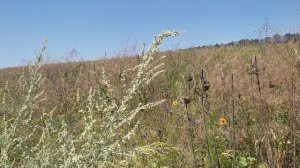 Начало штурма высоты, впереди сутки хода и 4 км