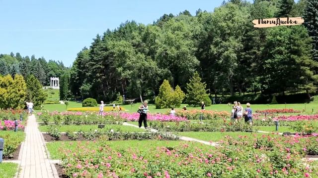 Особый мир "Долины роз"