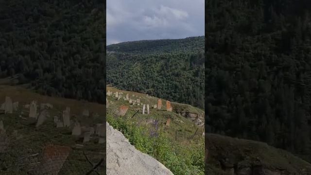 Чечня-Дагестан август 2021 3 день смотреть онлайн