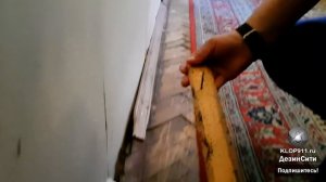 Квартира через 22 дня после травли клопов