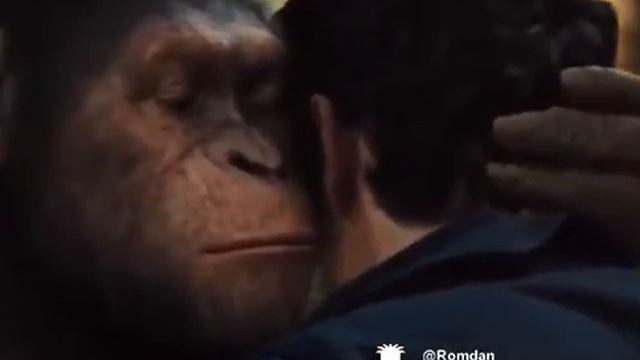 Обезьяна шепчет... смотреть онлайн