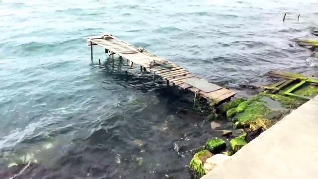 vlog in ISTANBUL. БОСФОР . Bosphorus смотреть онлайн