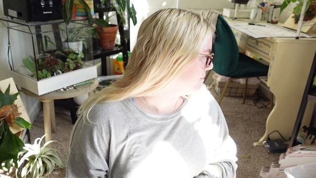 A Tour Of My Plant Shop & How I Sell & Ship My Plants! смотреть онлайн