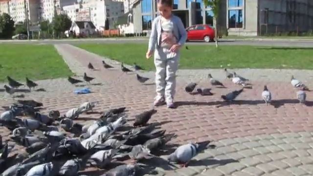 дети на прогулке кормят голубей смотреть онлайн