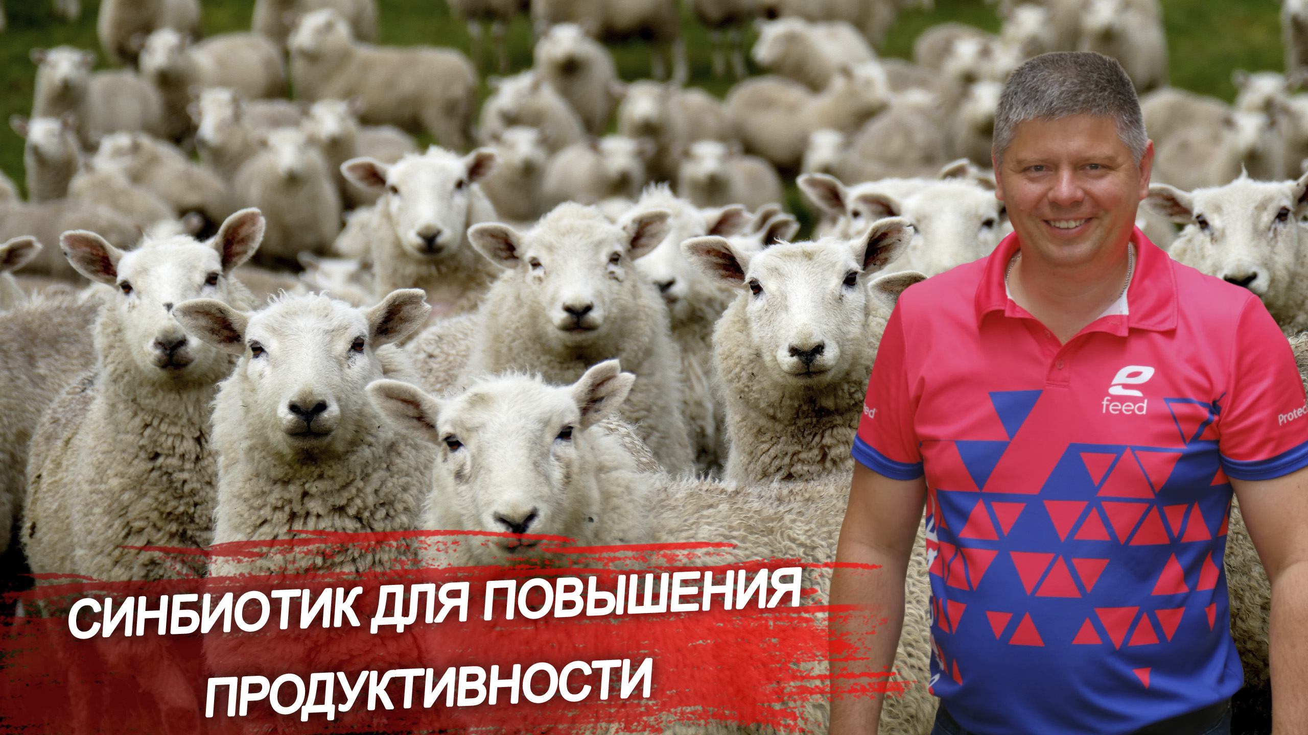 В чём польза синбиотика ФитоБактоПро? Синбиотик для повышения продуктивности сельхоз животных и птиц