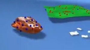 Электризация, Янтарь