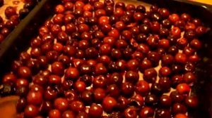 ВЯЛЕНАЯ ЧЕРЕШНЯ