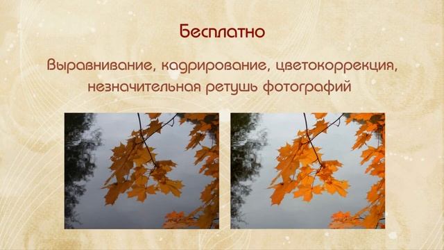 Сколько стоит фотофильм: ответы на вопросы