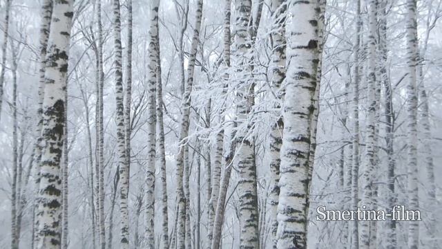 Татьяна Смертина - Первозданность - родник, Родина - стихи смотреть онлайн