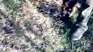 Как работает ТАЙФУН от СОРНЯКОВ!