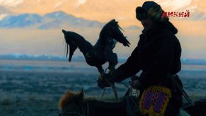 Охота с беркутом в Монголии