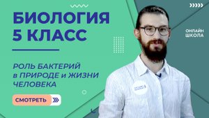Роль бактерий в природе и жизни человека. Урок 14. Биология 5 класс