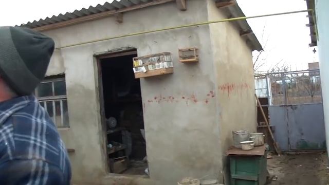 НИКОЛАЕВСКИЕ ГОЛУБИ /pigeons/ БАБОЧКА / В ГОСТЯХ У ВОВЫ КЕРЧЕНСКОГО / И СНОВА ВМЕСТЕ ! смотреть онлайн