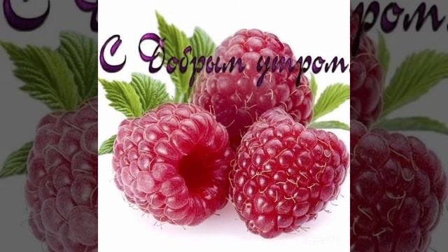 доброго утречка пусть оно будет прекрасным