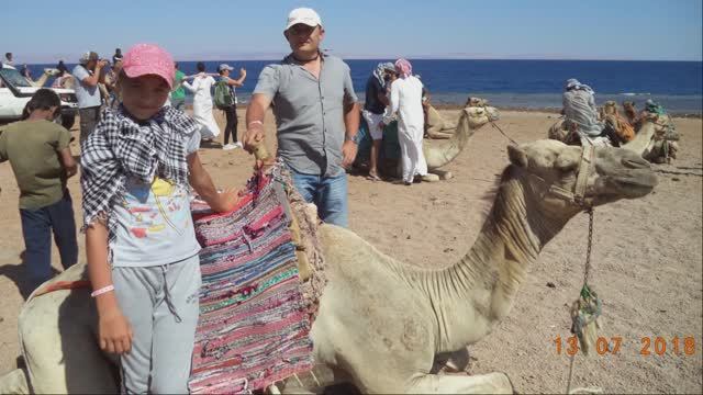 Экскурсия 6 в 1 из ШАРМ ЭЛЬ ШЕЙХА в ДАХАБ. ЕГИПЕТ 2018