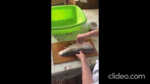 Балык из жереха
