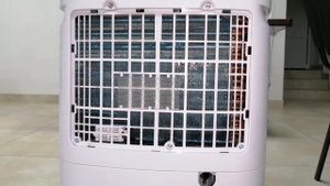 ЭТО ПРОСТО!!! Как разморозить испаритель осушителя воздуха. Лёгкий способ.