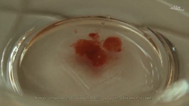 [3rd Dish] Goumi Jam - Little Forest Summer смотреть онлайн