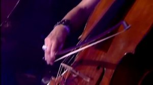 Serj Tankian - Peace Be Revenged  live {Lowlands Festival 2010} (HD/DVD Quality)