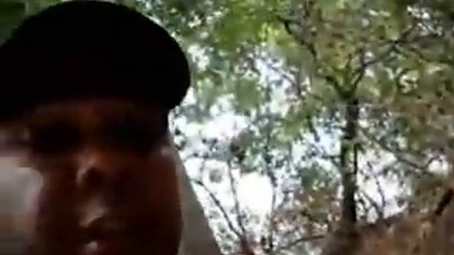 Аллигатор попался на электрического угря жесть!!! смотреть онлайн