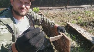 Улитки muller и maxima отбор маточного стада