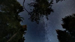 Исцеляющие звуки природы. Вечерние цикады. Релакс и глубокий сон.