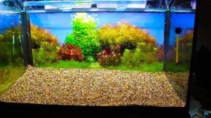 Запуск аквариума 120 литров (1 часть)