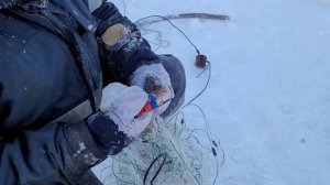 ?ОКУНЬ прёт и рвёт сети.? Сняли сеть. Проверка сети?