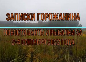 Охота. Новости за 2-4 сентября 2022 года