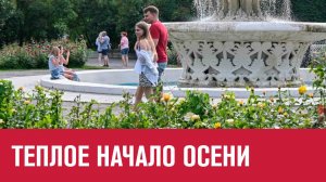 Первые дни сентября будут теплыми и солнечными- Москва FM