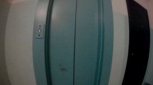 Голубой лифт! Лифт МЛМ 2009 по адресу: УЛ. Ладожская, дом 168