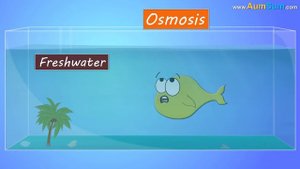 What if all the Oceans Dried up? + more videos | #aumsum #kids #science #education #children