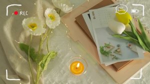 [Playlist] Happy Morning 🍀 Positive Feelings and Energy ~ Morning songs for a positive day