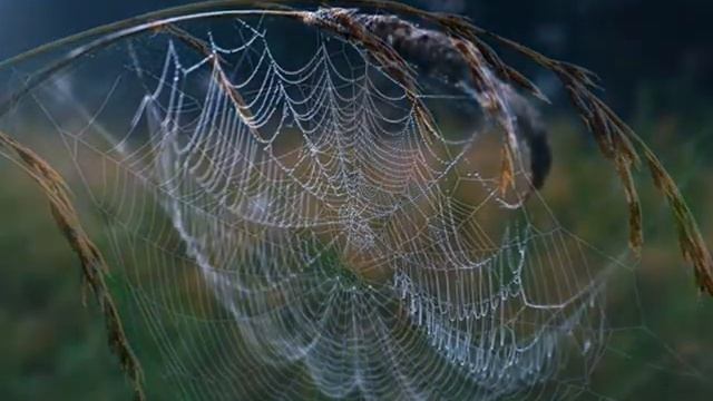 Glass Duo Fragile Fantastic video Close your eyes and come fly with me смотреть онлайн